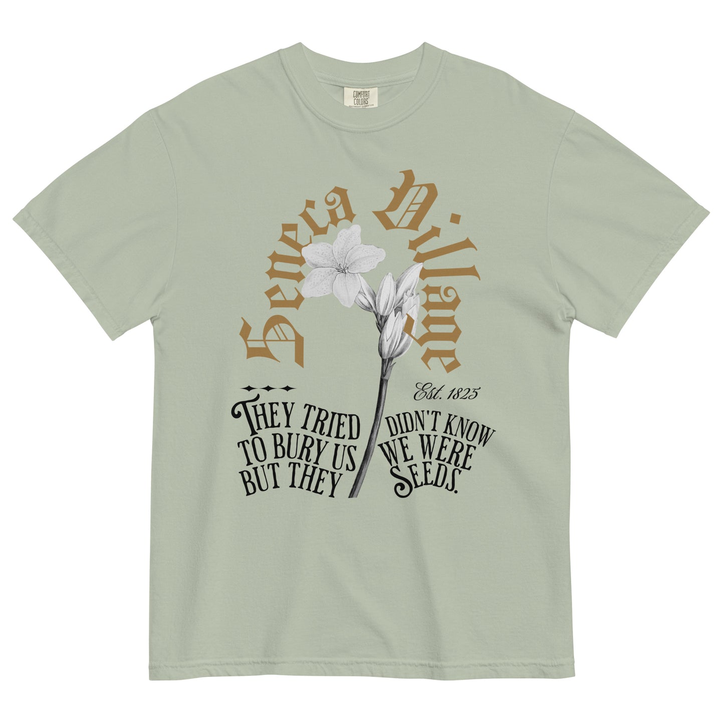 Seneca Village (Central Park) T-Shirt